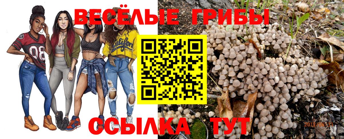 Галлюциногенные грибы мицелий Балашов
